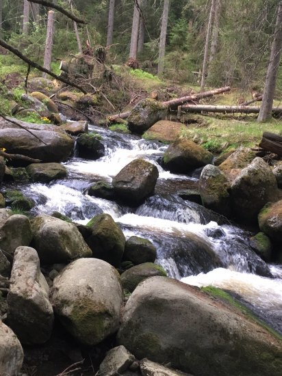 Klostermannova chata a okolí