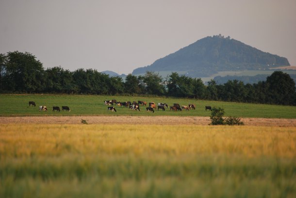 Starý Jičín