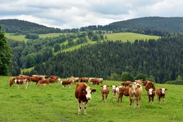 Zadní Paště