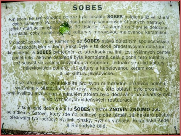 Archeo-víno-lokalita-Šobes