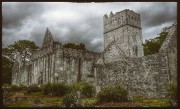 Opatství Muckross Abbey, Irsko