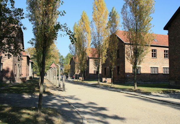 Auschwitz -Birkenau