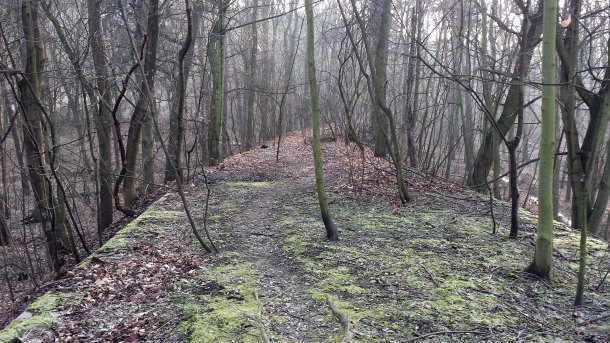 Viadukty zaniklé trati