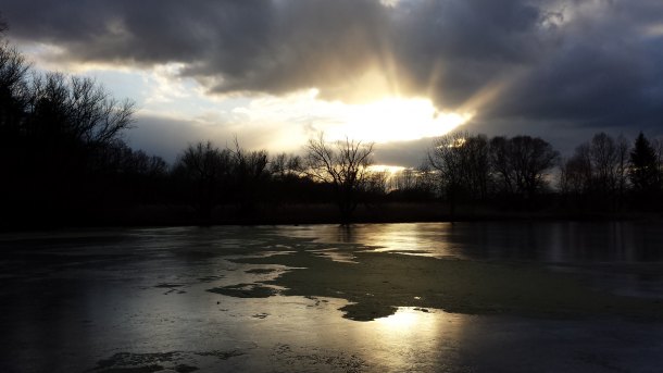 Tvrziště Lítožnice