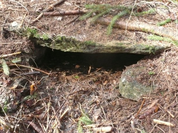 Znám křišťálovou studánku.2.a ještě je kouzelná.