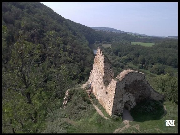 Hrad Týřov I