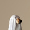 GhostDogCZE